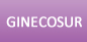 GINECOSUR